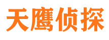 屏山侦探公司